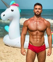 Speedo Studs Gay Tube 5fadb8b20fffc.jpg