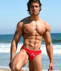 Speedo Studs Gay Tube 5fadb8c7ba0d5.jpg