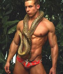 Speedo Studs Gay Tube 5fadb8cd4b2f9.jpg