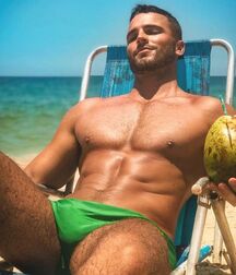 Speedo Studs Gay Tube 5fadb8d1b771d.jpg