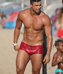 Speedos Wet Or Unlined Gay Tube 5faf64c21e7b4.jpg