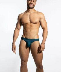 Speedos Wet Or Unlined Gay Tube 5faf64eacbfae.jpg