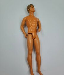 Action Figures & Male Dolls 5fb13b59a100d.jpg