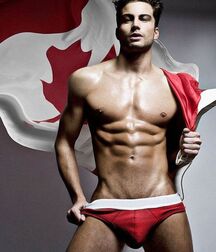 Canada Gay Pride 5fb31a5c69f49.jpg