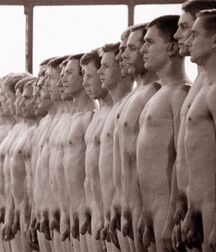 Cocks Unlimited Gay Tube 5fb3f597e6fb3.jpg