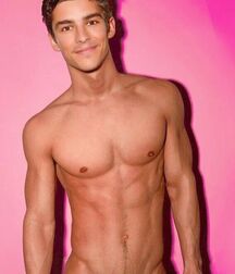 Twinks and Twunks Gay Shirtless Tube Lean 5fb8b2da779b3.jpg