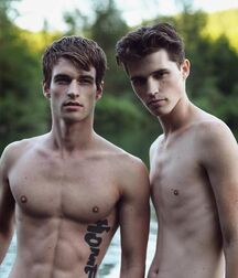 Shirtless and Sexy Boys Porn 5fbe7235824fb.jpg