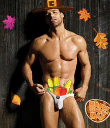 Gay Thanksgiving 5fbfd3c35d4b1.jpg