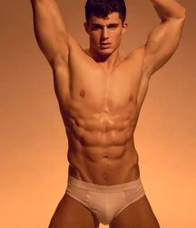 Pietro Boselli Gay Tube 2 5fc087f83c6b5.jpg