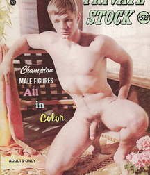 Vintage Magazines Gay Porn 5fc1b8fc1bb9f.jpg