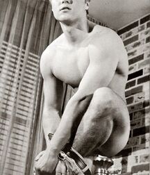Vintage Gays Tube pornstar 5fc1c1fd37417.jpg