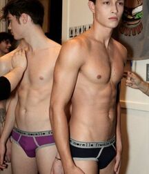 Francisco Lachowski Gay Tube 5fc27265799ee.jpg