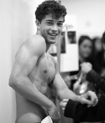 Francisco Lachowski Gay Tube 5fc27272ce537.jpg