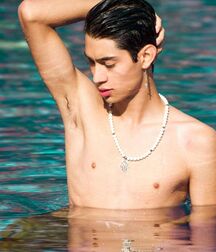 Twink Dreams Gay Tube Shirtless 5fc715a079fc3.jpg