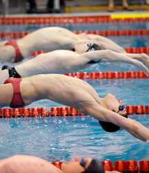 Speedo Eye Candy Gay Tube 5fda332ebaefb.jpg