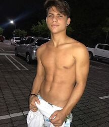 Twink Hunks Gay Porn Shirtless 5fdac1740b454.jpg