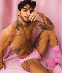 Pink Speedos & Undies Gay Tube 5fdce2d1a77fd.jpg