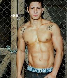 Shirtless Hunky Twinks Gay Tube 5fedf24ed41da.jpg