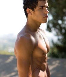 Shirtless Hunky Twinks Gay Tube 5fedf27d9291a.jpg