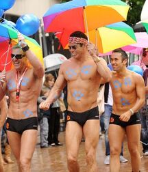 Happy Gay New Year Tube 5fee91a3ec1f1.jpg