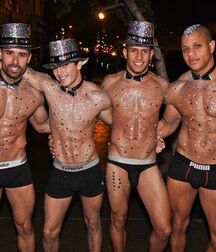 Happy Gay New Year Tube 5fee91a9036b8.jpg