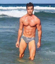 Striped Speedo Hunks Gay Tube 5ff69c44a742b.jpeg
