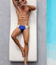 Speedo Divers Gay Tube 5ffb23054750a.jpg