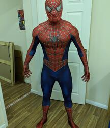 Spiderman Sexy Gay Tube 600cead3591bd.jpg