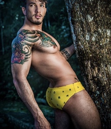 Yellow Speedo Studs Gay Tube 600fa08edd4e2.jpg