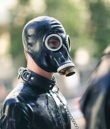 Gay Masks Twink Tube 601aca64c5400.jpg