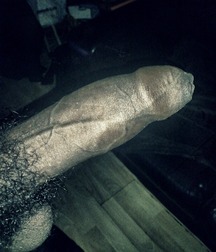Cock-O-Rama Gay Tube 602603ce404d4.jpg