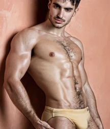 Speedos Are Best Gay Tube 6026f0433df52.jpg