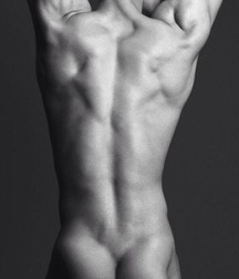 Twink Porn Hunk Asses 60273378f317f.jpg