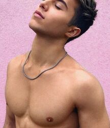 Luc & Cooper Coyle Gay Tube 602d485d0d0cd.jpg