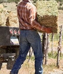 Sexy Country Boys Porn 6035902fdc5d8.jpg