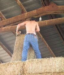 Sexy Country Boys Porn 60359042f1369.jpg