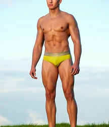 Yellow Speedos gay tube muscles 603e482454583.jpg