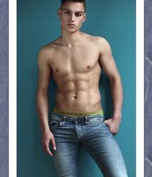 Handsome Paul Gay Tube 604b9ebf7a4fb.jpg