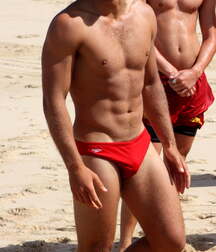 Speedo Addict Gay Tube 604c251b1f916.jpg