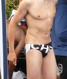Pattern Speedos Gay Tube 6052b0c1e45ba.jpg