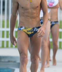 Pattern Speedos Gay Tube 6052b0d416924.jpg