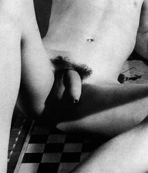 Big Cocks twink penis boys porn 60591df9ee68a.jpg