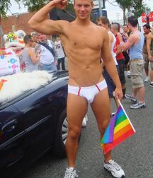 Gay Rainbow Tube Mix 605fcea8850fe.jpg