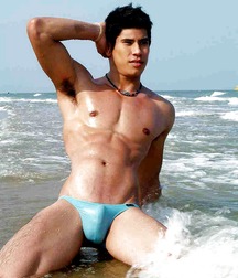 Twink Speedos beach gay tube 6061f6fb77a4c.jpg