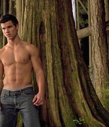 Handsome & Fit Taylor Gay Tube 607076feda29a.jpg