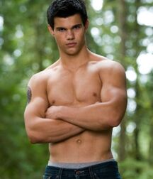 Handsome & Fit Taylor Gay Tube 6070771bb0028.jpg