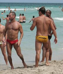 Speedo Bulges Boys Porn 6093301b9d109.jpg