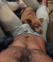 Bulges Sexy Twinks Porn Hunks 60a56da752531.jpg