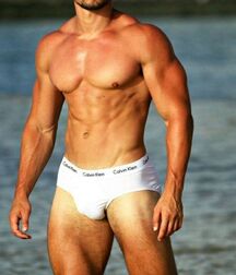Sexy Underwear Guys Gay Porn 60d2563ba4762.jpg