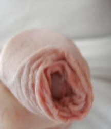Uncut Twinks Gay Porn Boys Tube 6106e3e862239.jpg
